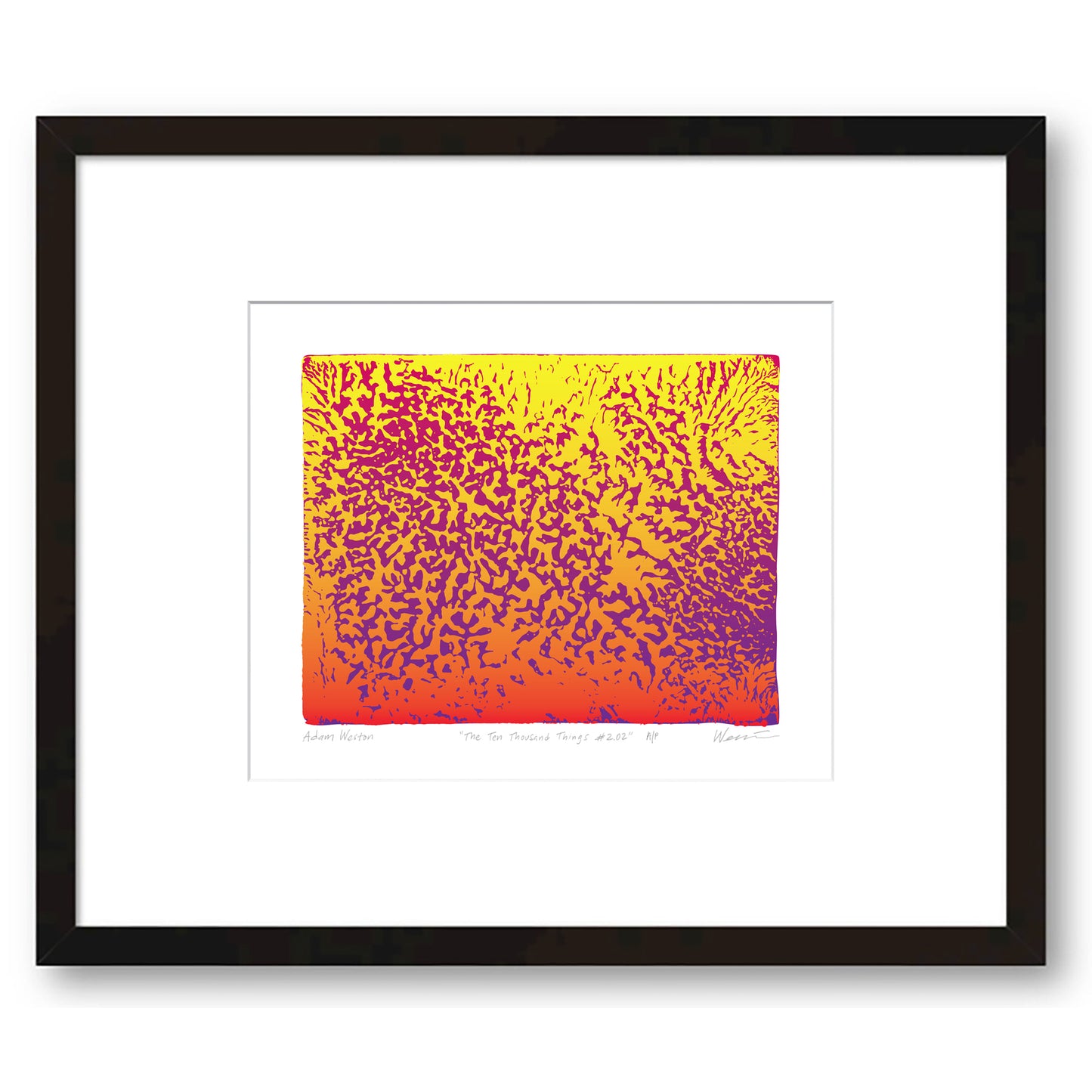 “The Ten Thousand Things #2.02” • Framed • Limited Edition of 25 • Archival Pigment Print • 8"x10"