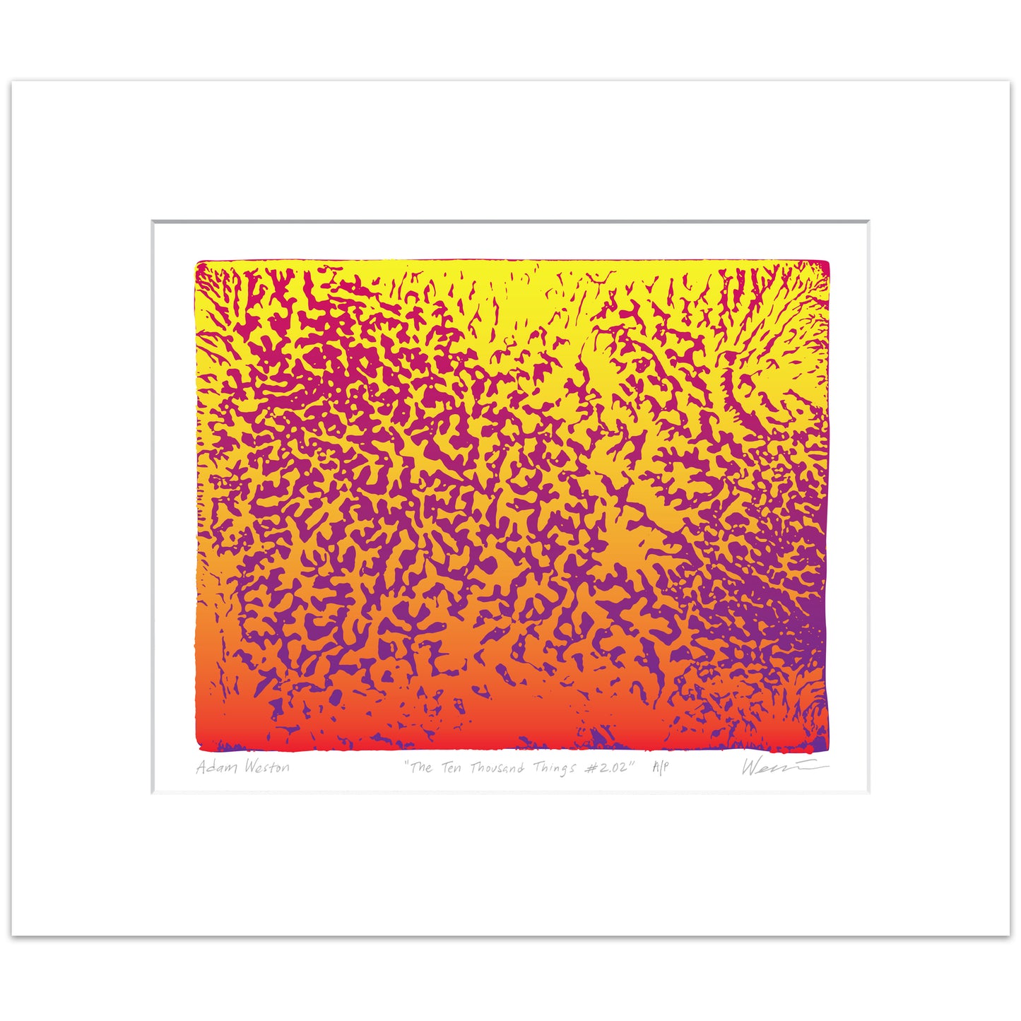 “The Ten Thousand Things #2.02” • Limited Edition of 25 • Archival Pigment Print • 8"x10"
