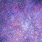 “Return to the Infinite #25” (24"x24")